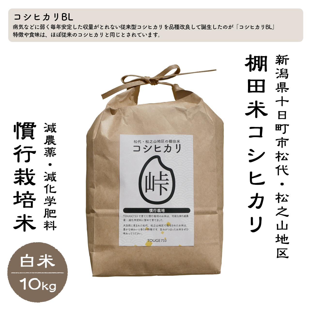 【白米10kg】令和6年度産 慣行栽培米 コシヒカリ TOUGE733