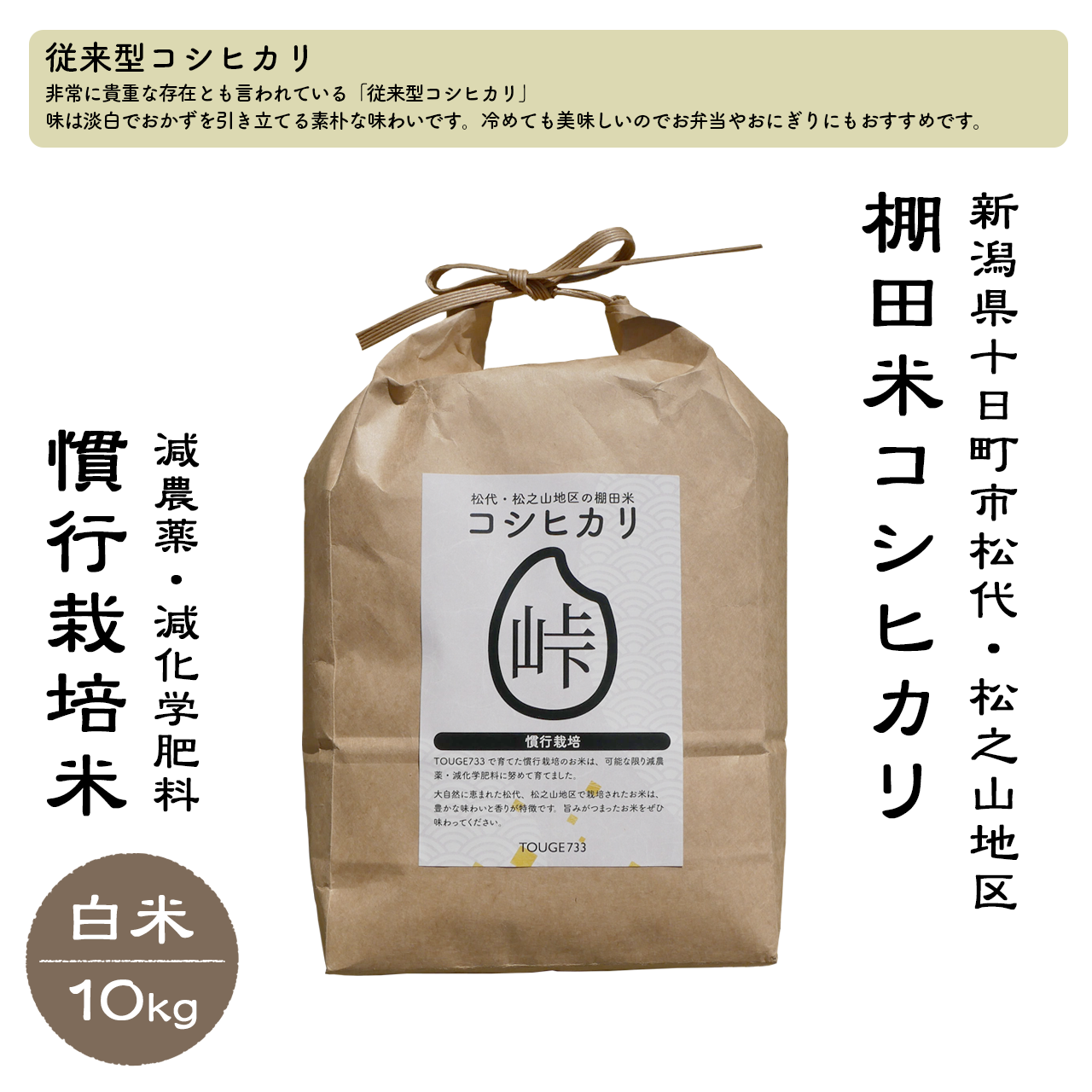 【白米10kg】令和6年度産 慣行栽培米 コシヒカリ TOUGE733