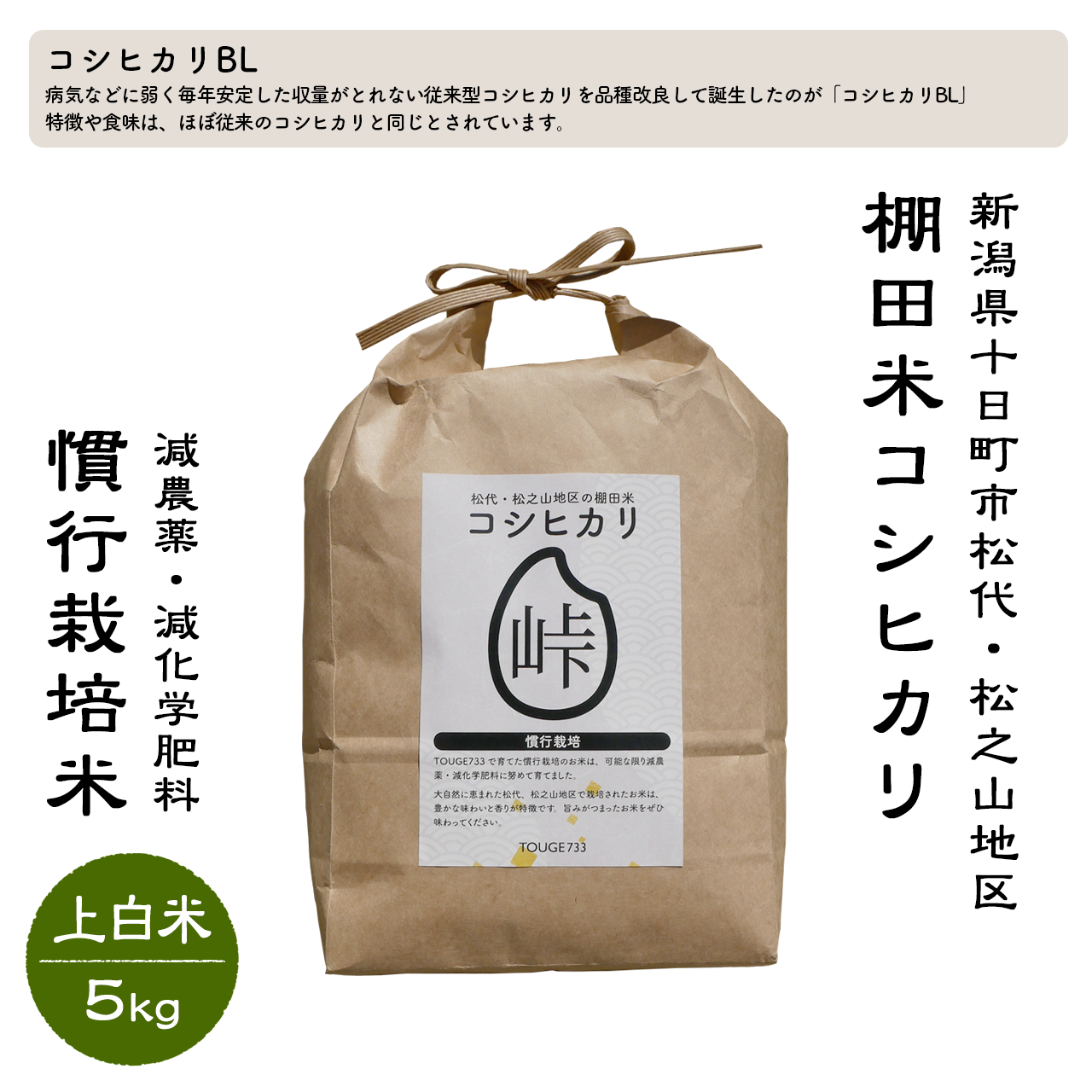 【上白米5kg】令和6年度産 慣行栽培米 コシヒカリ TOUGE733