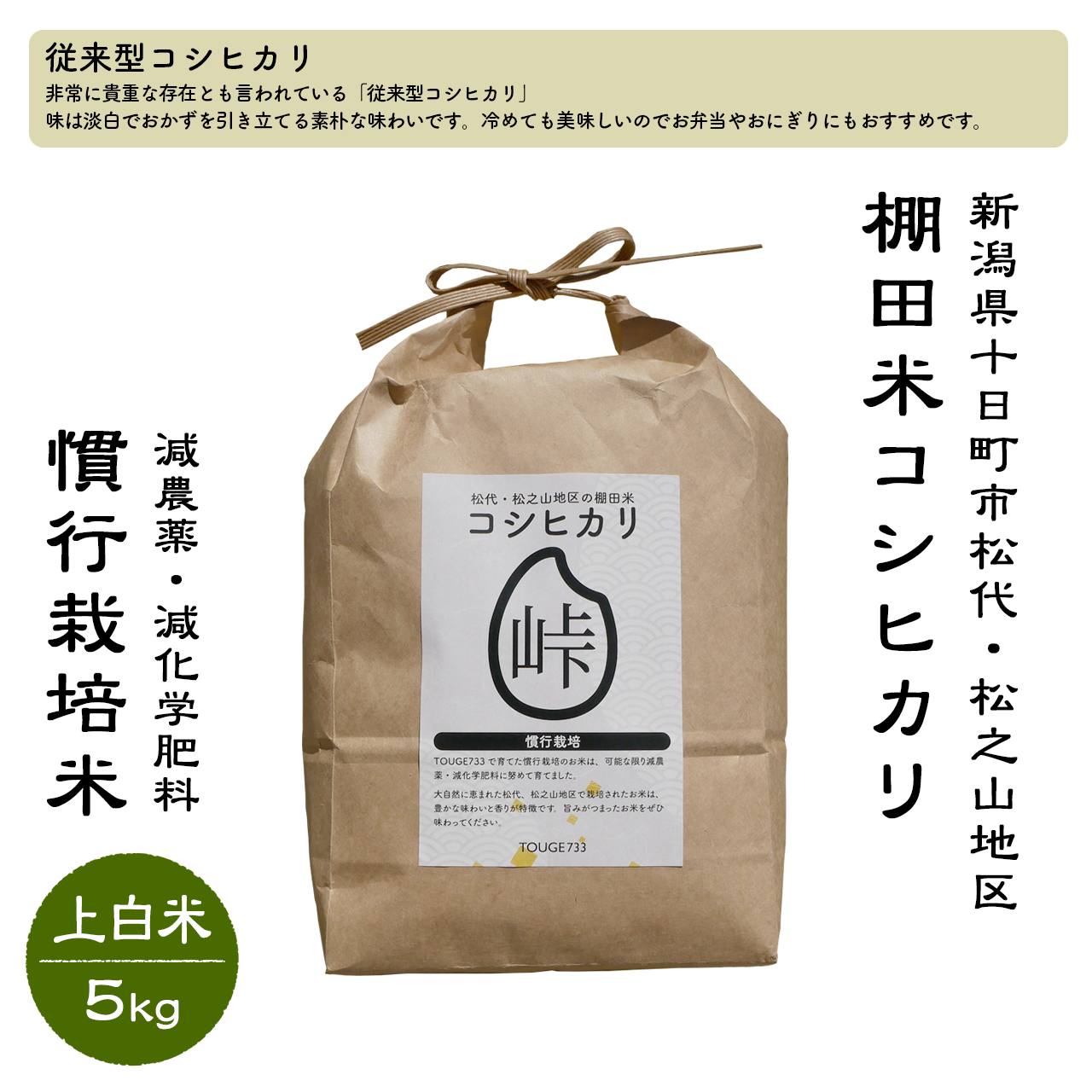 【上白米5kg】令和6年度産 慣行栽培米 コシヒカリ TOUGE733