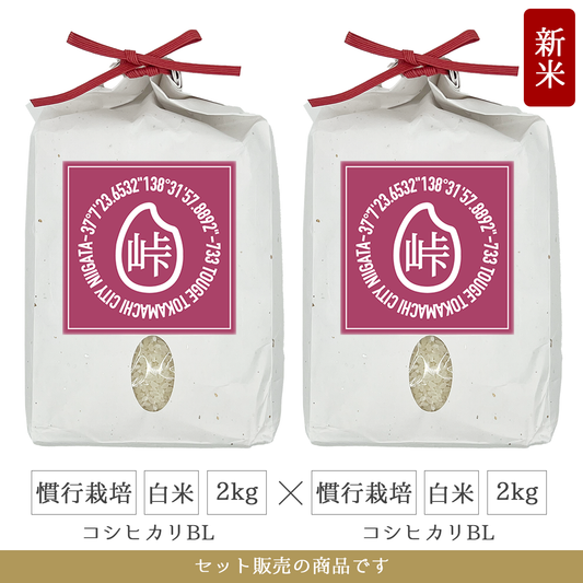 令和7年 慣行栽培 白米2kg(コシヒカリBL)×2個 新潟県産|TOUGE733
