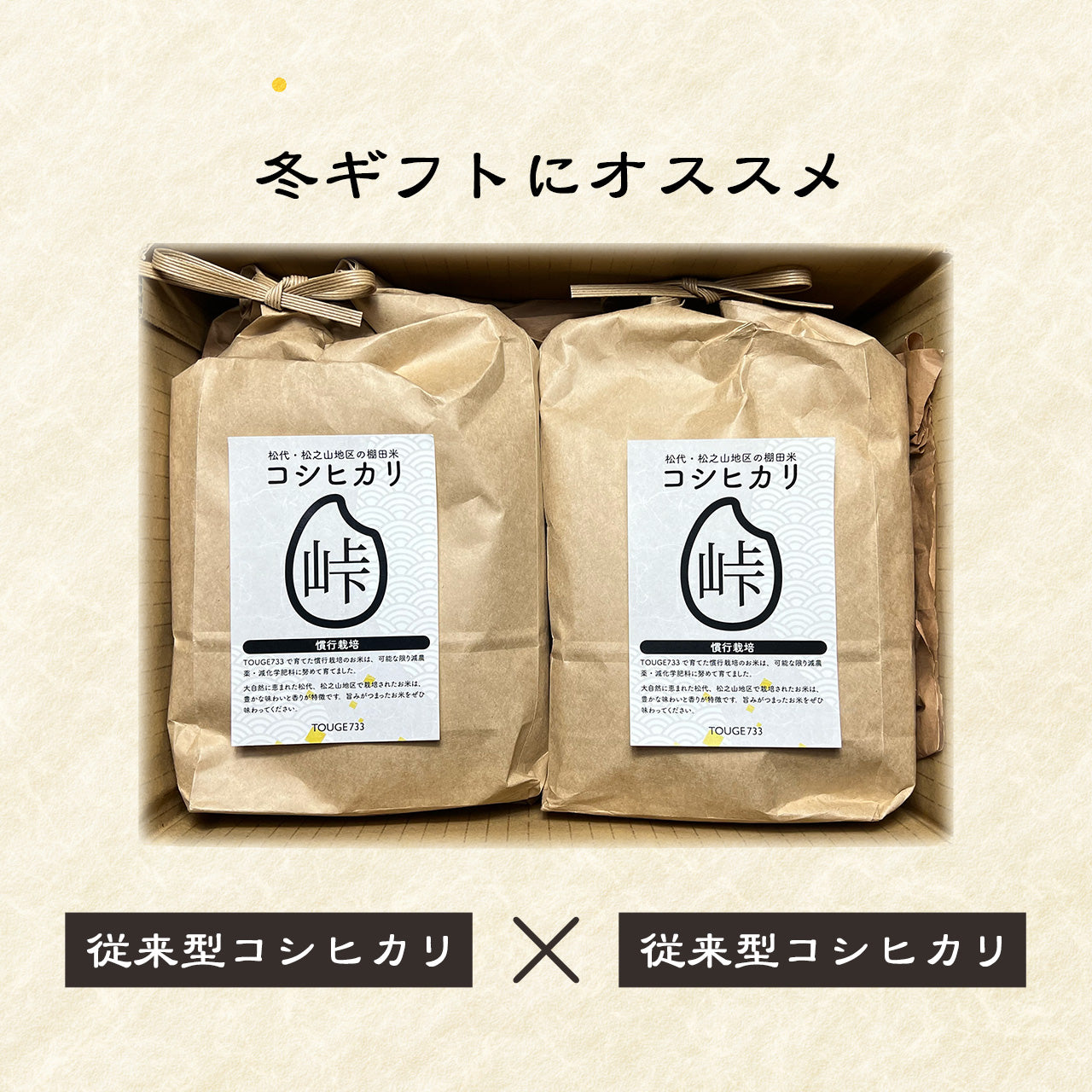 【白米2kg(従来型)×2】令和6年度産 慣行栽培米 コシヒカリ TOUGE733