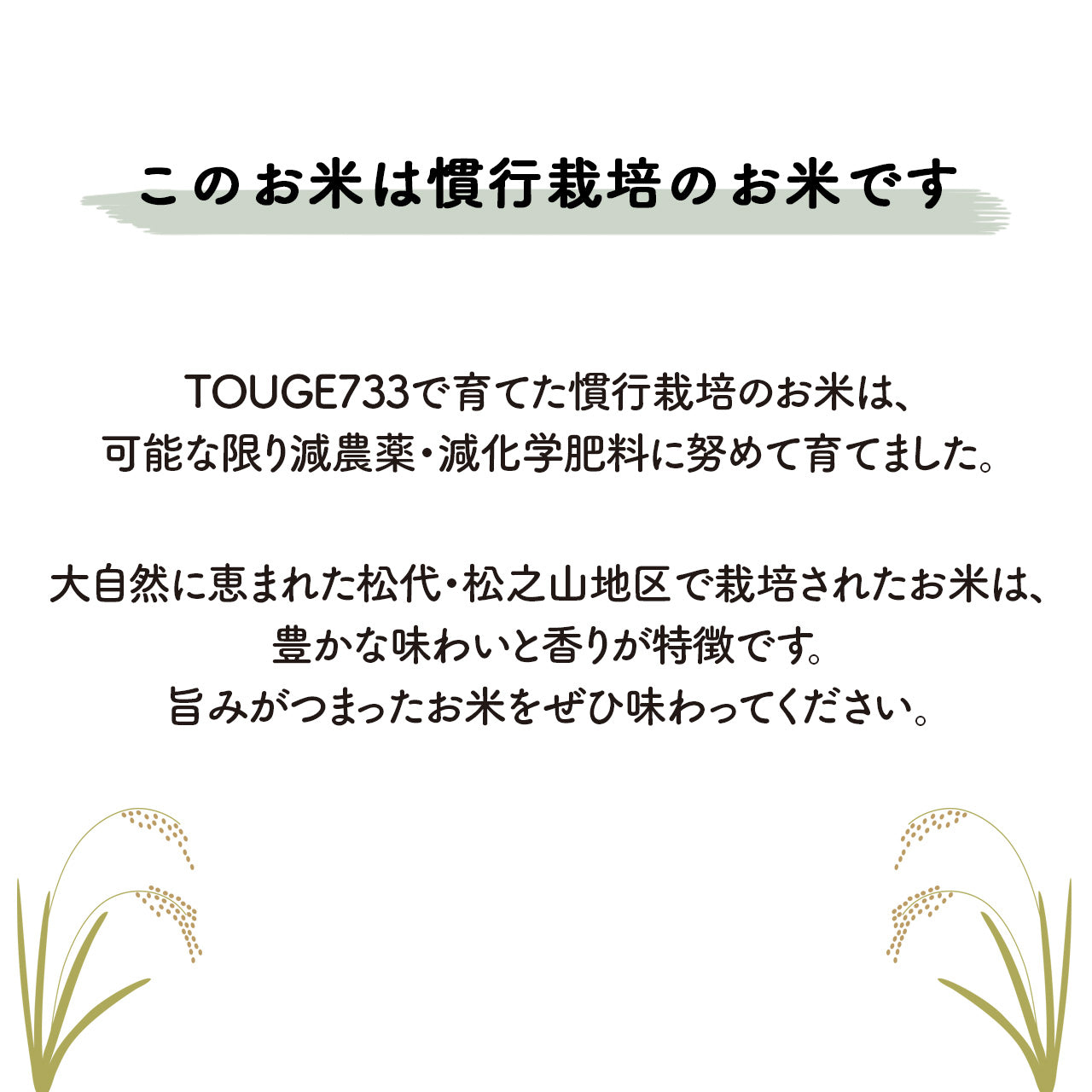 【白米2kg(従来)+白米2kg(BL)】令和6年度産 慣行栽培米 コシヒカリ TOUGE733