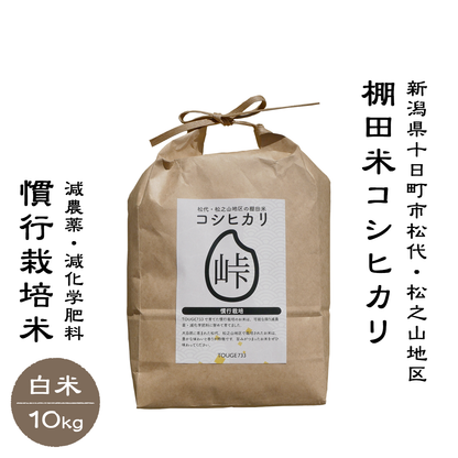 【白米10kg】令和6年度産 慣行栽培米 コシヒカリ TOUGE733