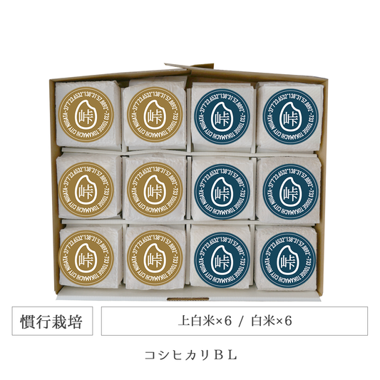 令和7年 慣行栽培 キューブ米12個セット コシヒカリBL 新潟県産｜TOUGE733