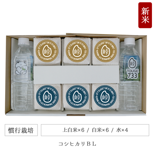 令和7年 慣行栽培 キューブ米12個水4本セット コシヒカリBL 新潟県産｜TOUGE733