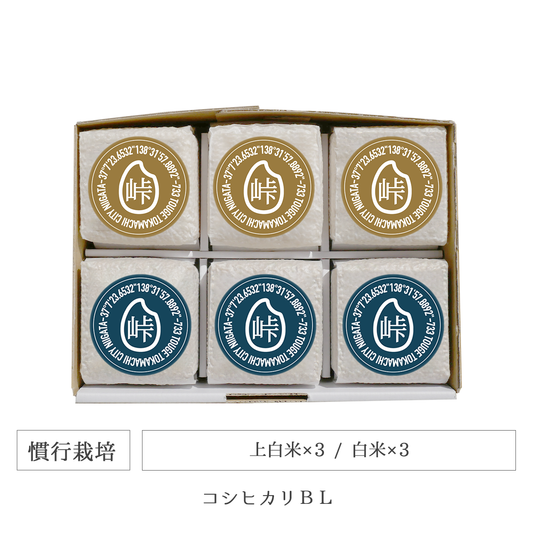 令和7年 慣行栽培 キューブ米6個セット コシヒカリBL 新潟県産｜TOUGE733