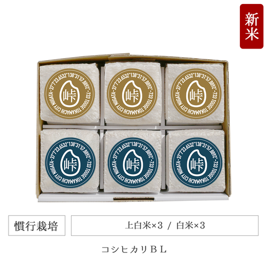 令和7年 慣行栽培 キューブ米6個セット コシヒカリBL 新潟県産｜TOUGE733