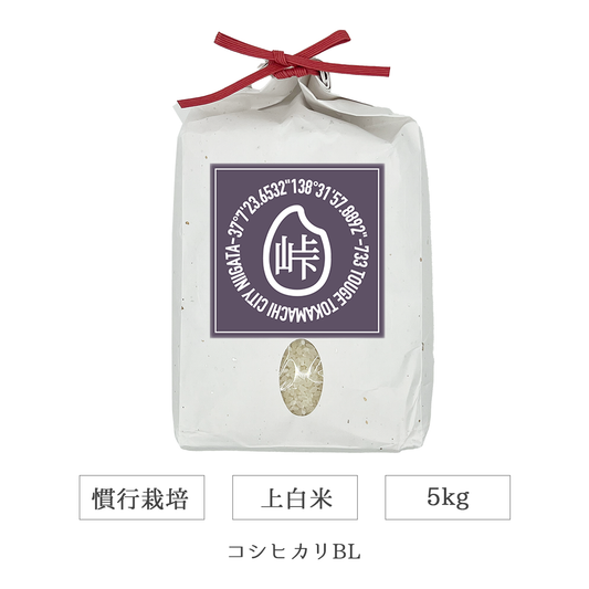 令和7年 慣行栽培 上白米 5kg コシヒカリBL 新潟県産｜TOUGE733