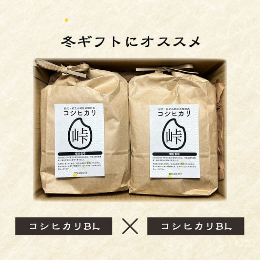 ギフト【白米2kg(BL)×2】令和6年度産 慣行栽培米 コシヒカリ TOUGE733