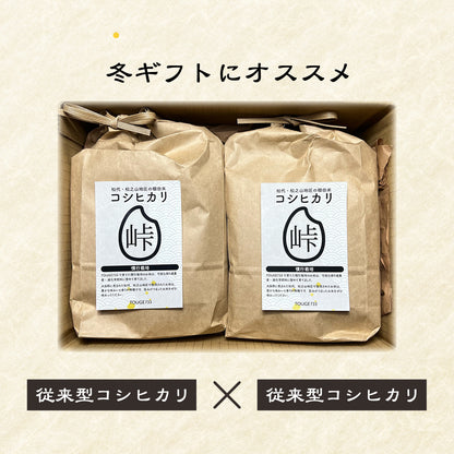 【白米2kg(従来型)×2】令和6年度産 慣行栽培米 コシヒカリ TOUGE733