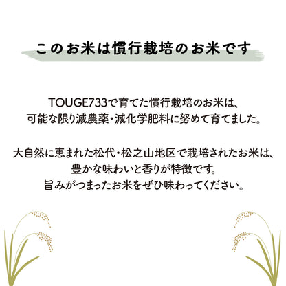 【上白米5kg】令和6年度産 慣行栽培米 コシヒカリ TOUGE733